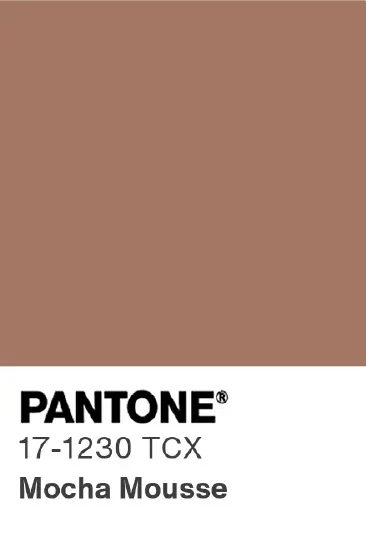 Pantone Mocha Mousse